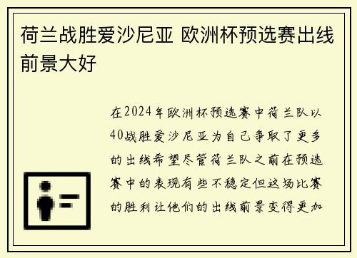 荷兰战胜爱沙尼亚 欧洲杯预选赛出线前景大好