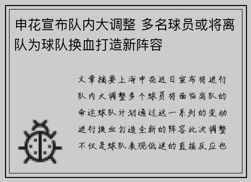 申花宣布队内大调整 多名球员或将离队为球队换血打造新阵容