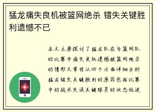 猛龙痛失良机被篮网绝杀 错失关键胜利遗憾不已